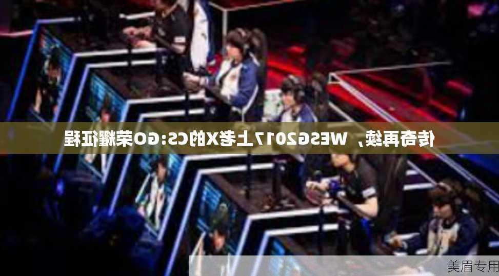 传奇再续，WESG2017上老X的CS:GO荣耀征程